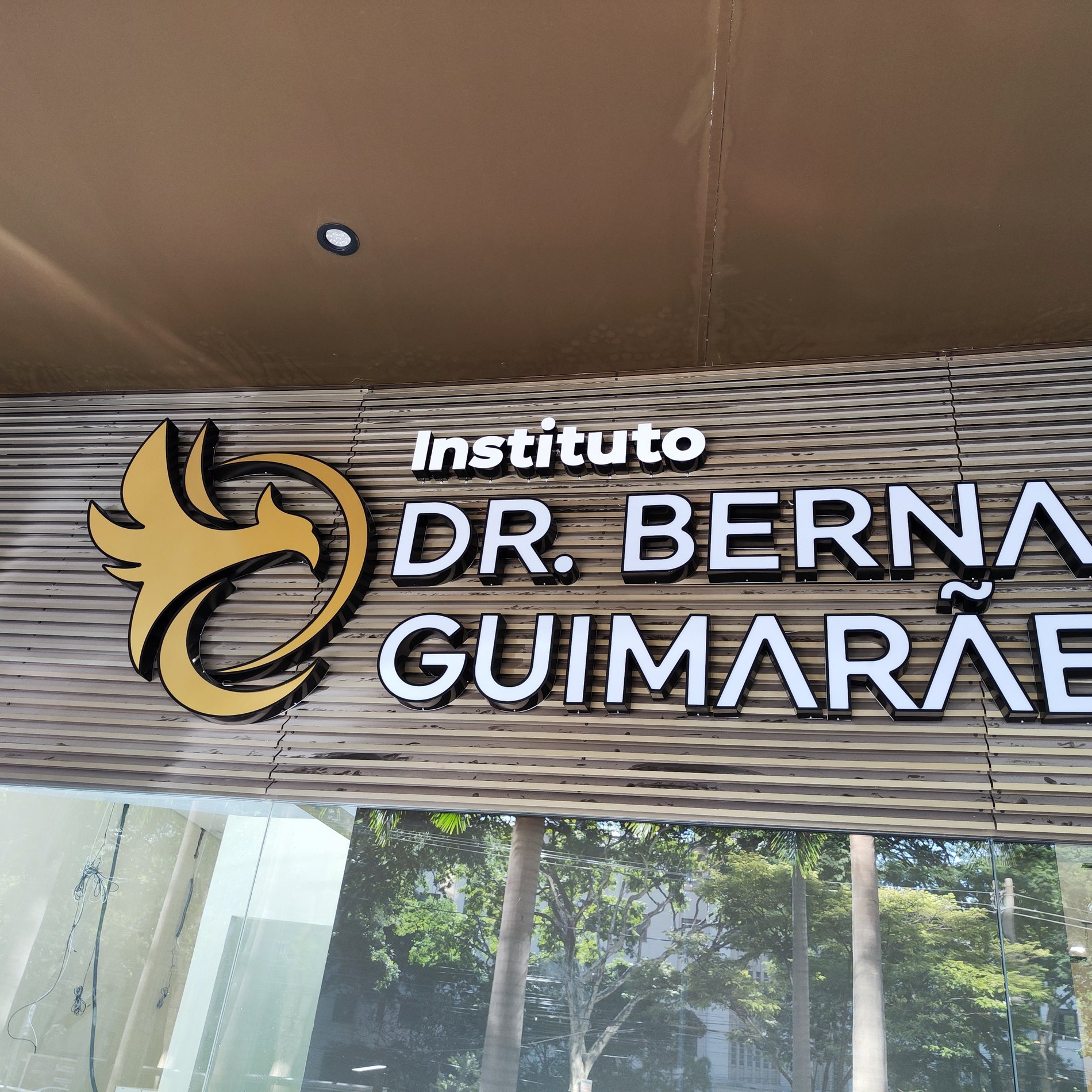 Luminoso Dr Bernardo Guimarães com luz indireta para fachada