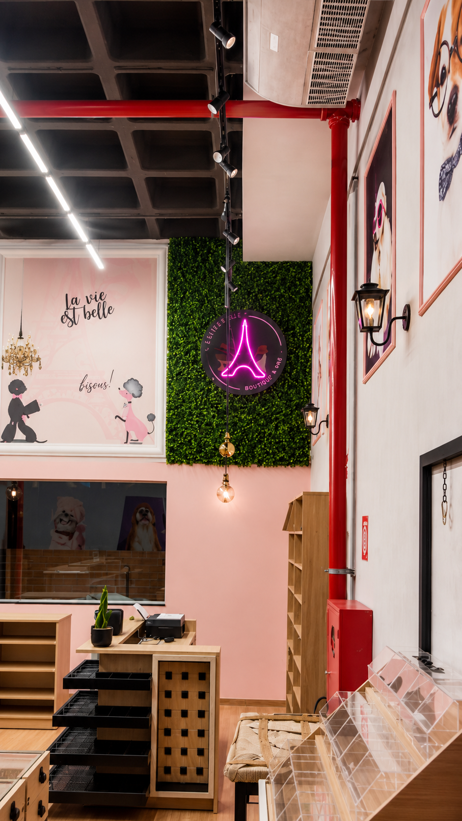 Neon decorativo Boutique Pet Paris em ambiente comercial sofisticado